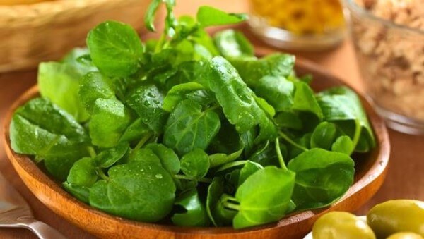 Watercress