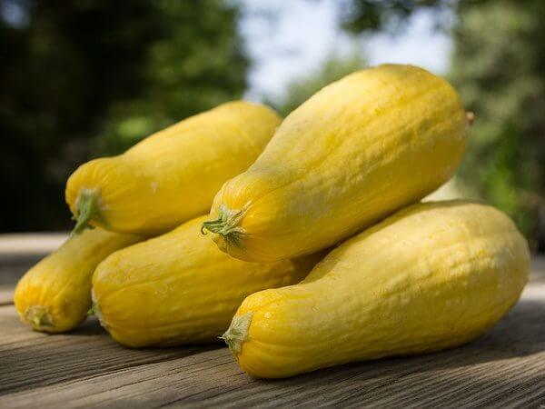 yellowsquash